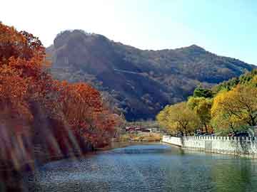 澳门二四六天天彩图库，丰田发动机